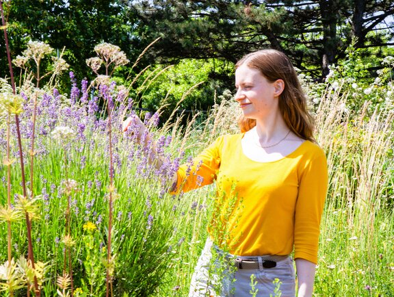 Eine Rehabilitandin steht im Kneipp Garten und berührt einen Rosa Lavendelstrauch. 